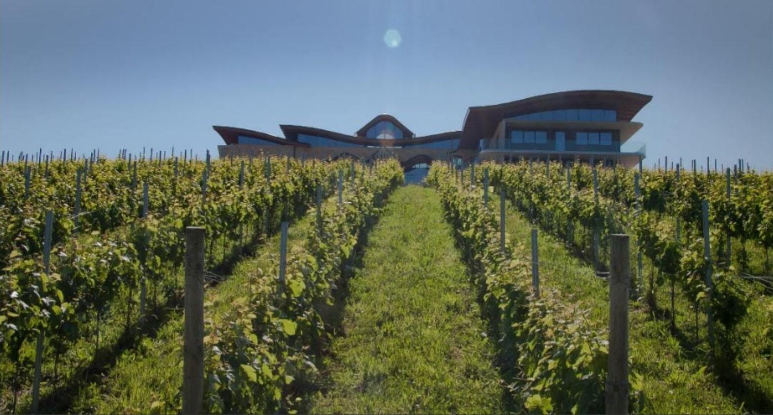 The Wedding Website of Irati Balda and Javier Ormazabal