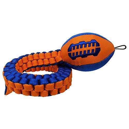 Nerf Dog Durable Dog Toy Gifts, made with Nerf Tough Material, Lightweight, Non-Toxic, BPA-Free, Assorted Toys