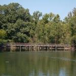 Lichterman Nature Center
