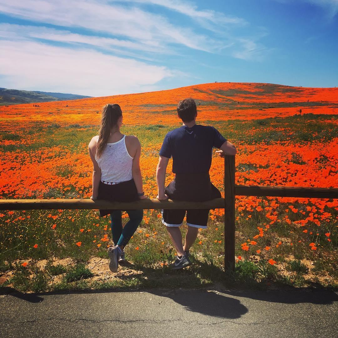 Superbloom