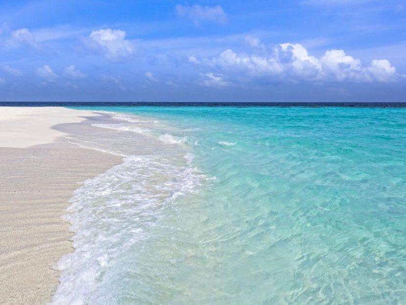 14fe1426-b103-4cdb-8bd3-d30b6efd347f