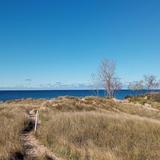 Saugatuck Harbor Natural Area