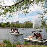 Hermann Park Pedal Boats