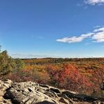 Ravenswood Park