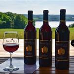 Bright Leaf Vineyard