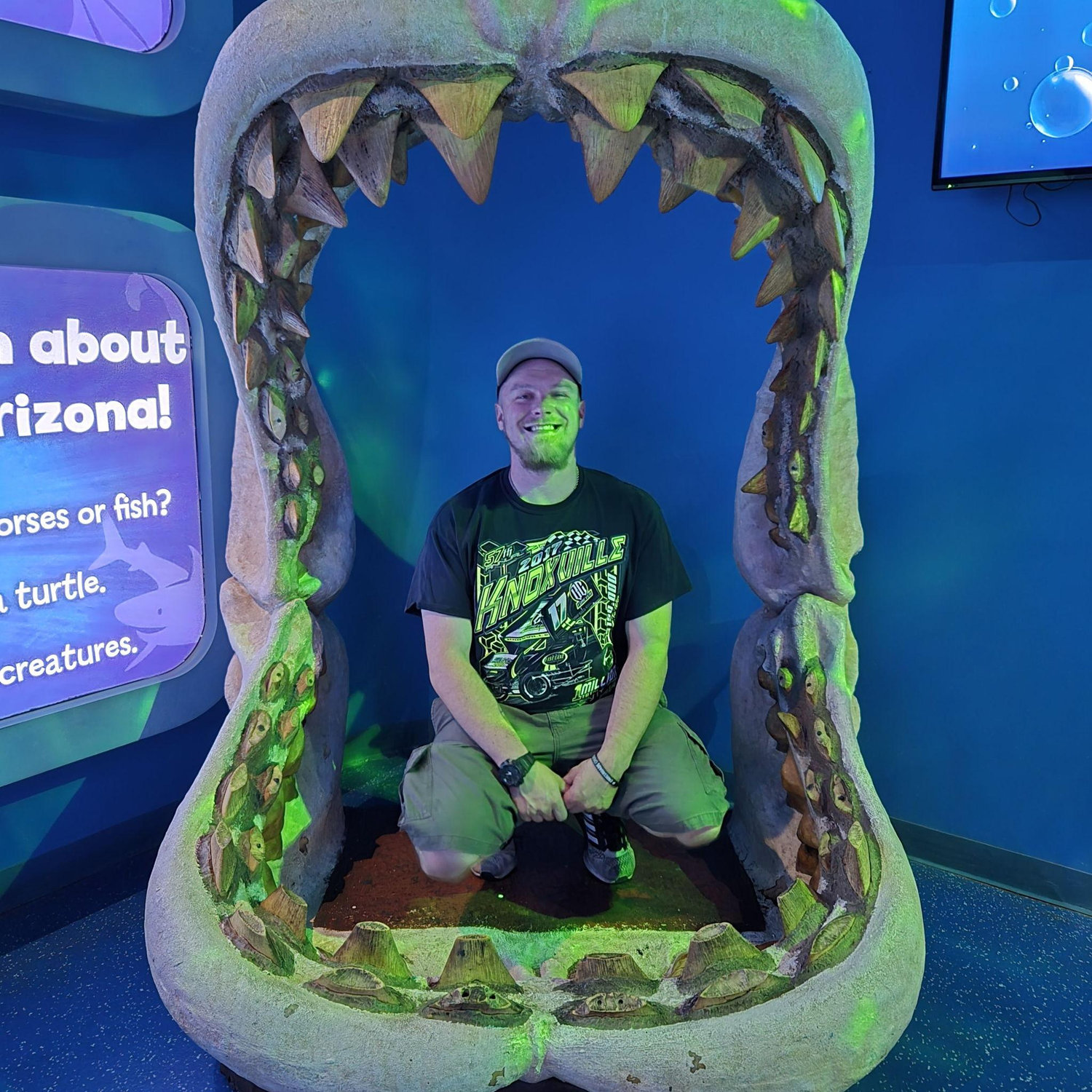 Aquarium in a mall in Arizona
