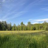 Norman Farms