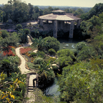 Japanese Tea Garden