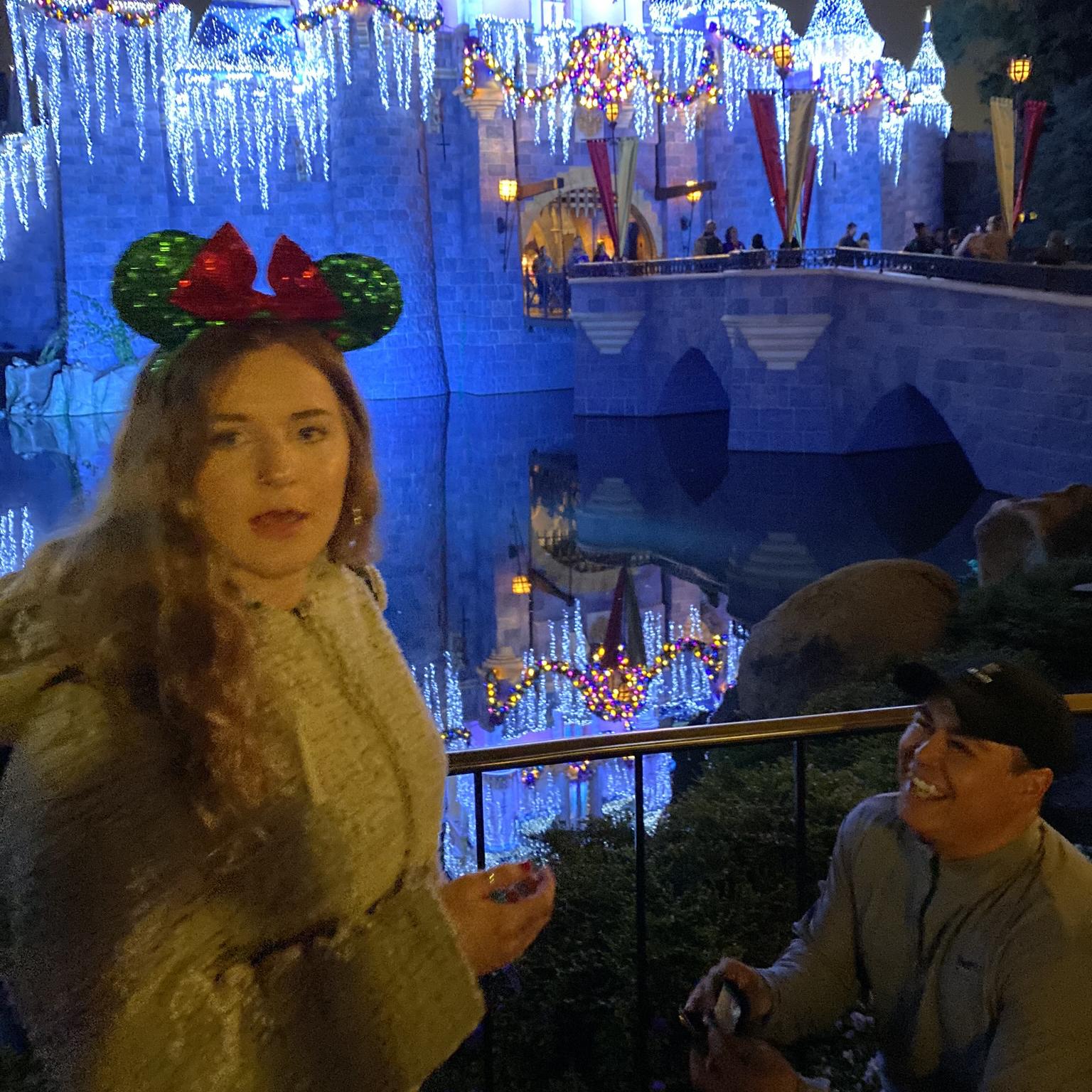 Our honeymoon at Disneyland fund