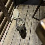 Carabalí Bar & Grill
