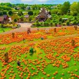 Bengtson's Pumpkin Farm and Fall Fest