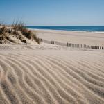Hampton Beaches