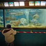 Woods Hole Science Aquarium