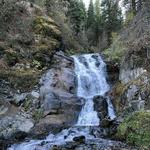 Chief Joseph Mountain Trail