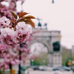 Visit Prospect Park