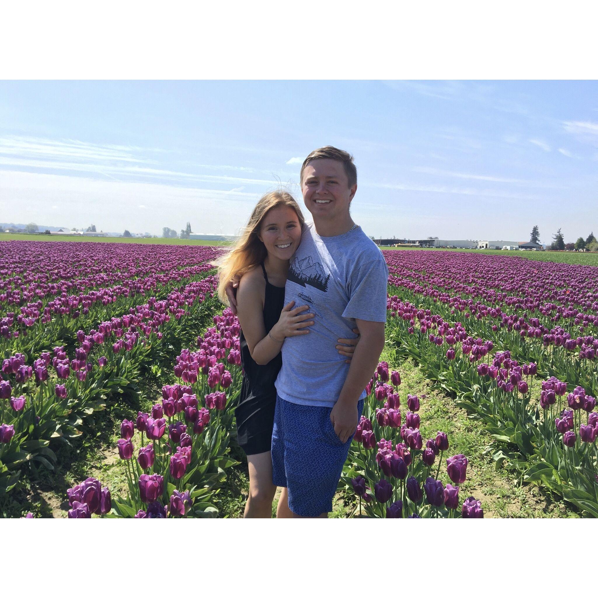 Washington's Tulip Festival, 2018