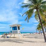 The Beach