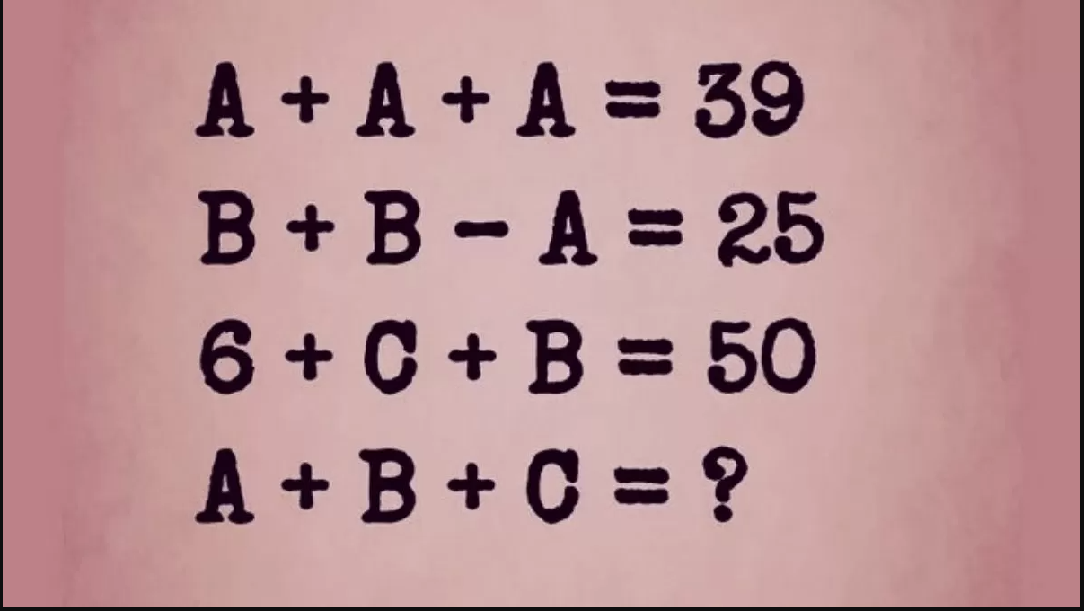 The Wedding Website of Hayley 's and Liana's Scavenger Hunt for Pal Aria