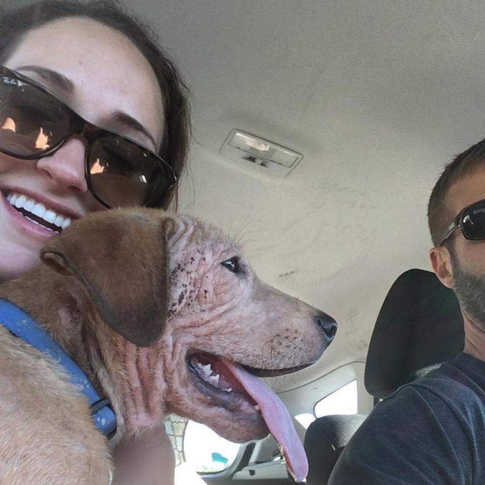 Taking Major home from the shelter
