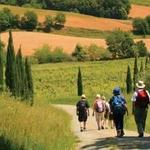 Hiking/Walking Trails
