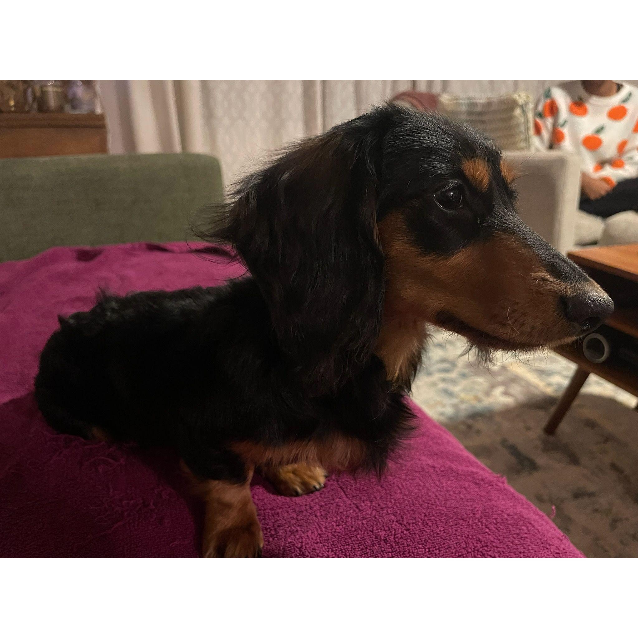 Frankie