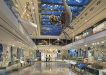 Cleveland Museum of Natural History