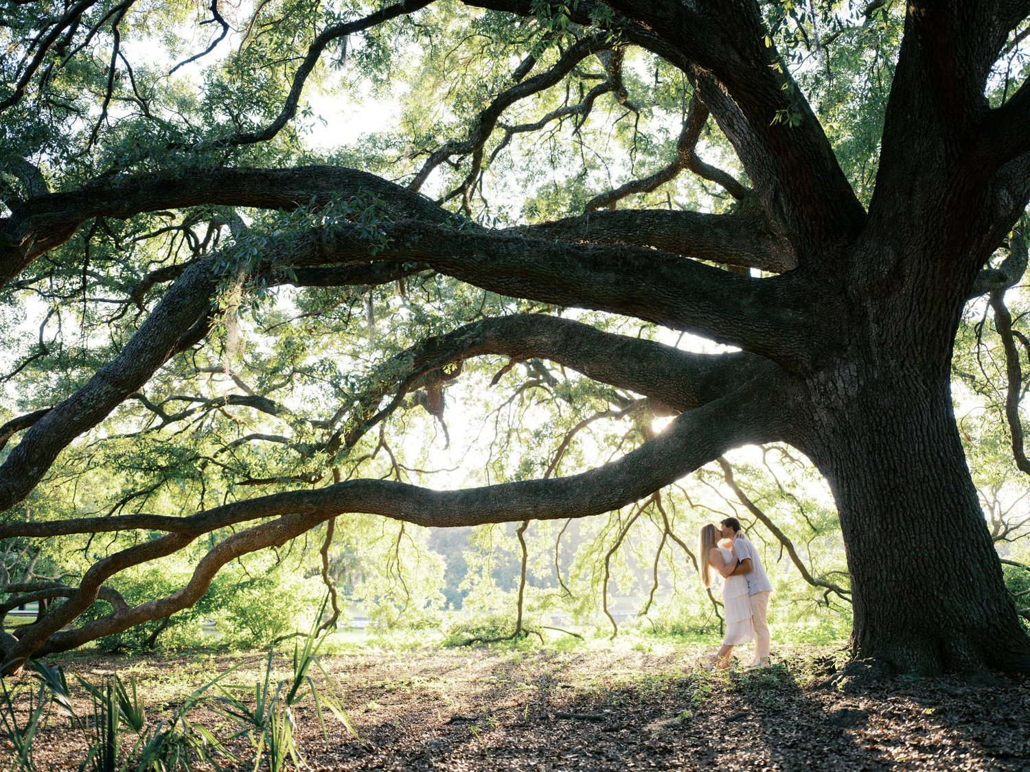 The Wedding Website of alexandria hughes and jordan kokoska