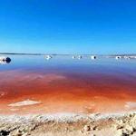 Alviso Marina County Park