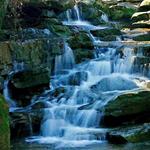 Moss Rock Preserve
