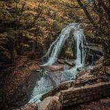 Roaring Run Loop Trail