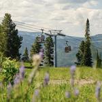 Gondola One