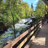 Brewery Park at Tumwater Falls