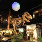 Houston Museum of Natural Science