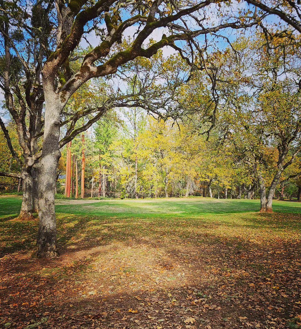 The Wedding Website of Adriana Funk and Raul Perez