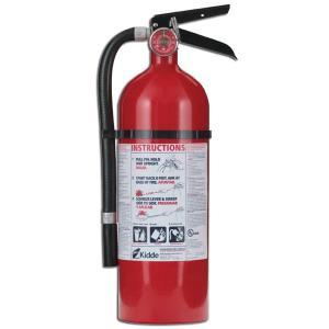 PRO 210 2A:10B:C Fire Extinguisher