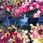 FRIDAY FARMER'S MARKET