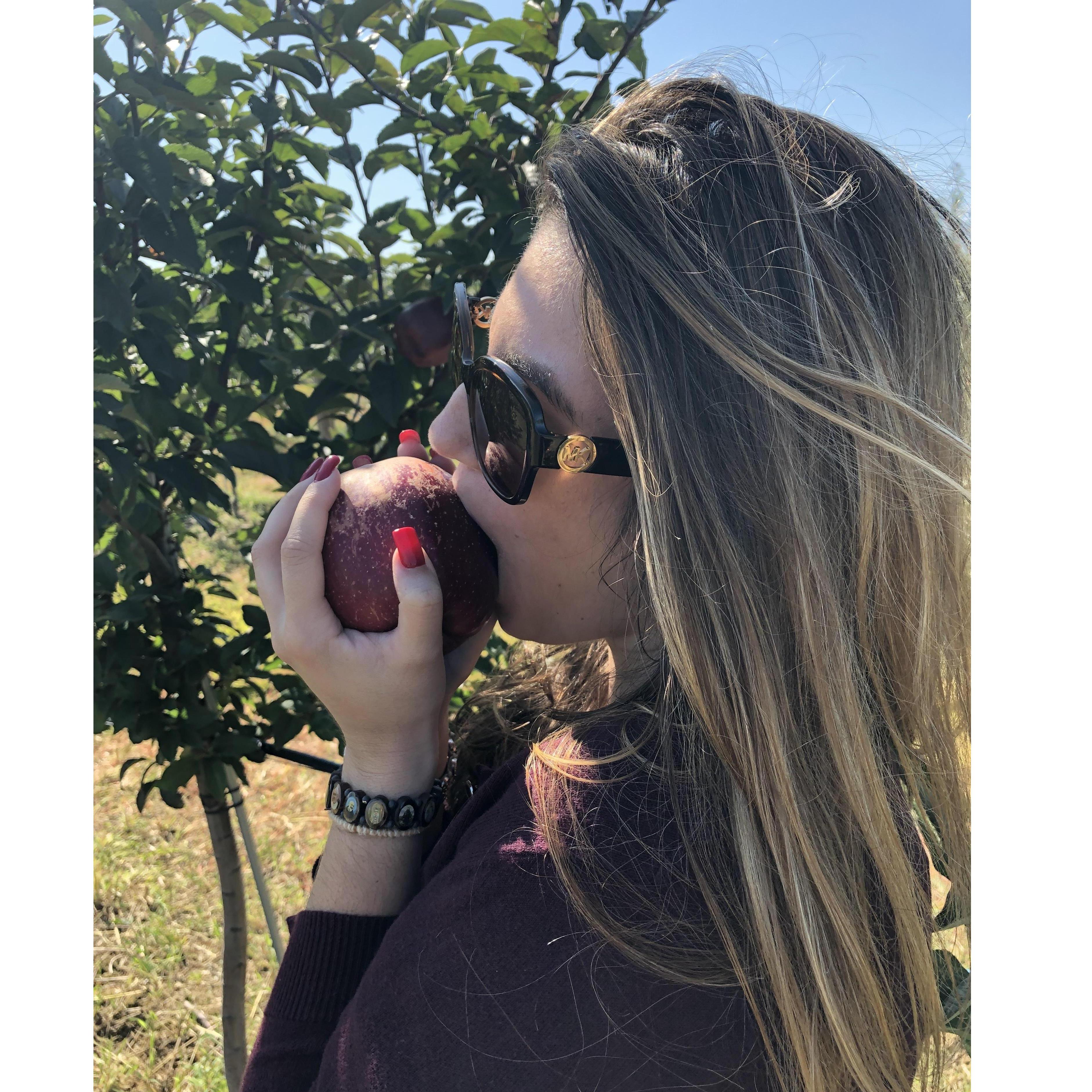 Apples Apples Apples