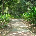 Jardin Botanico
