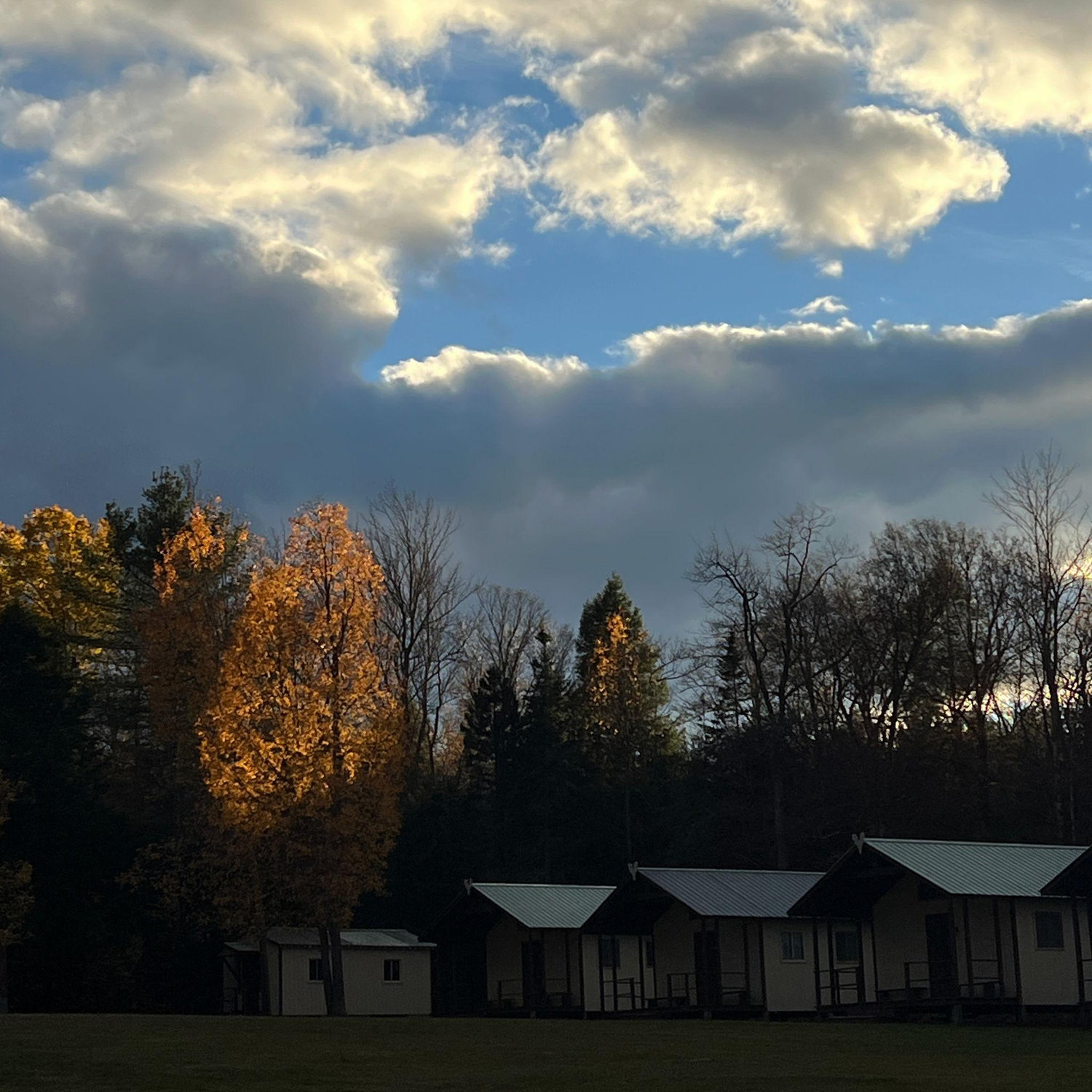 Camp Neringa cabins