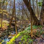 Seven Bridges