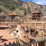 Cheyenne Mountain Zoo