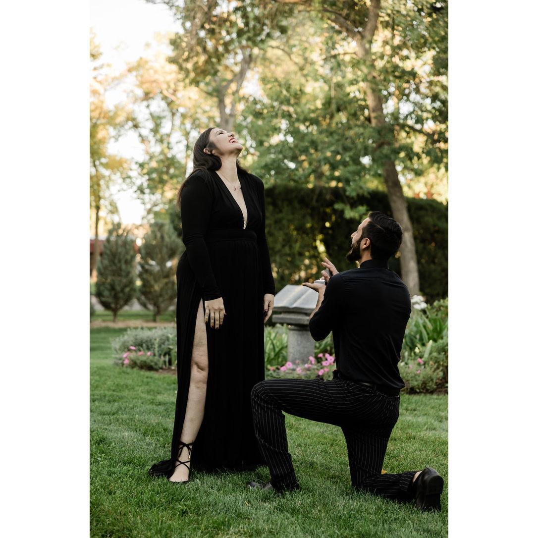 Berto Proposing