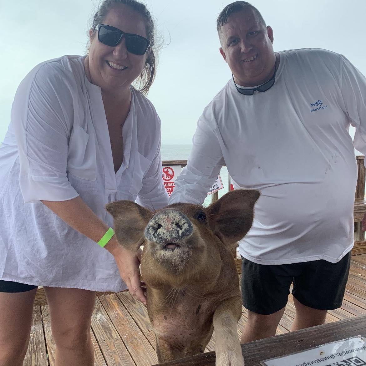 Swimming with pigs on a cruise