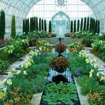 Como Park Zoo & Conservatory
