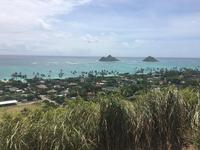 Pillbox Hike