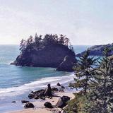 Trinidad State Beach