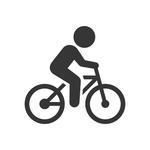 Bike Rentals