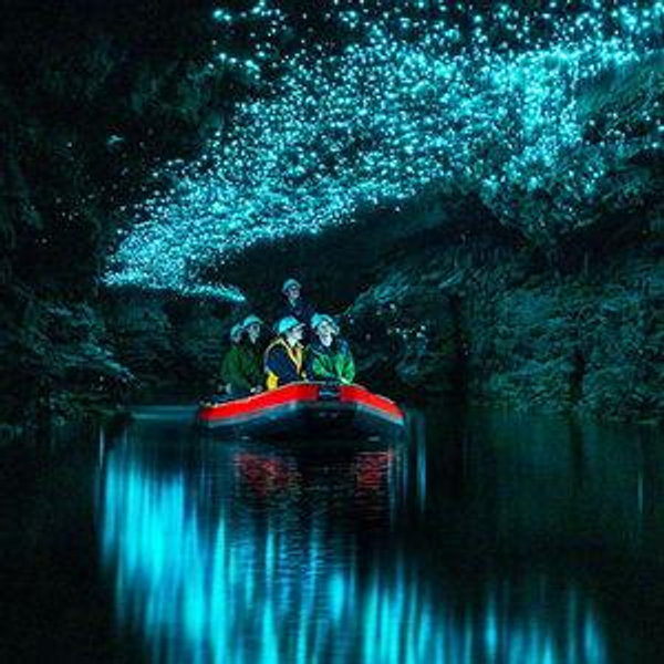 Waitomo Glowworm Caves Tour