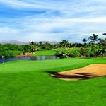 Flamingos Golf