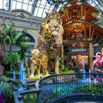 Bellagio Conservatory & Botanical Gardens